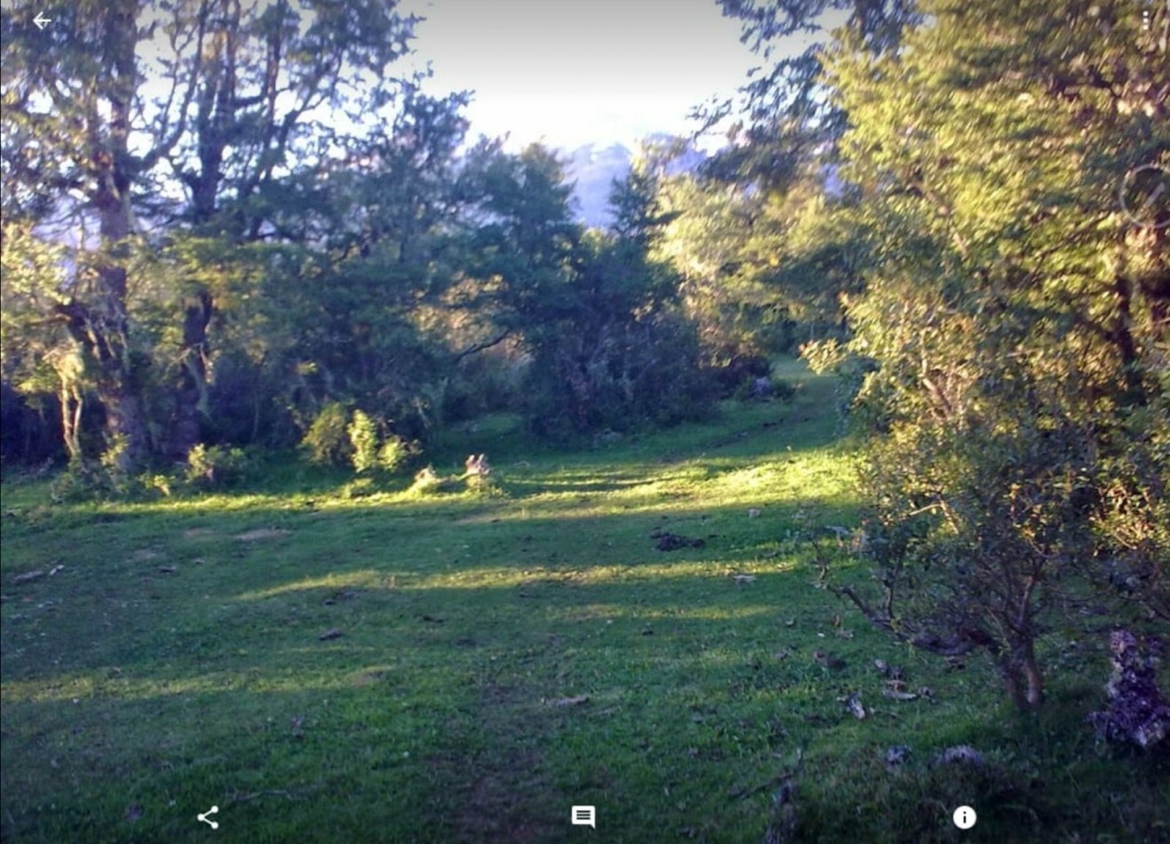 Chacra - Aldea Atilio Viglione, Chubut