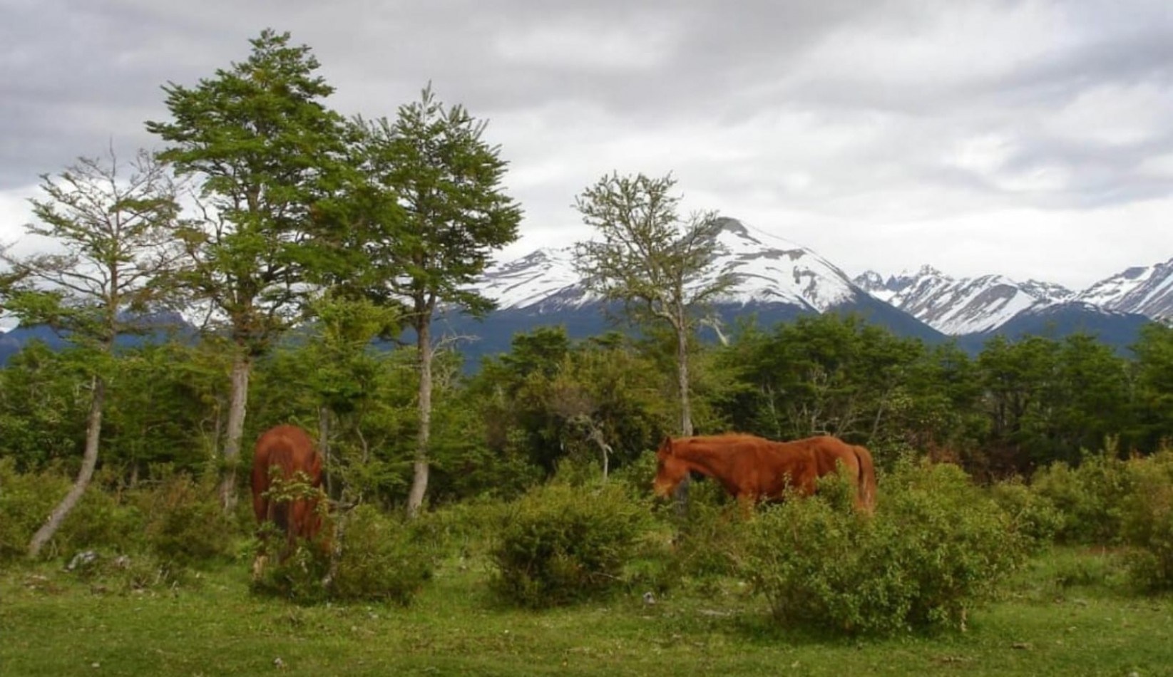 Chacra - Aldea Atilio Viglione, Chubut