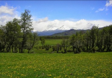 Chacra - Aldea Atilio Viglione, Chubut